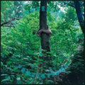 Tomberlin - Projections (Picture Disc) (Vinyl) (US Import)