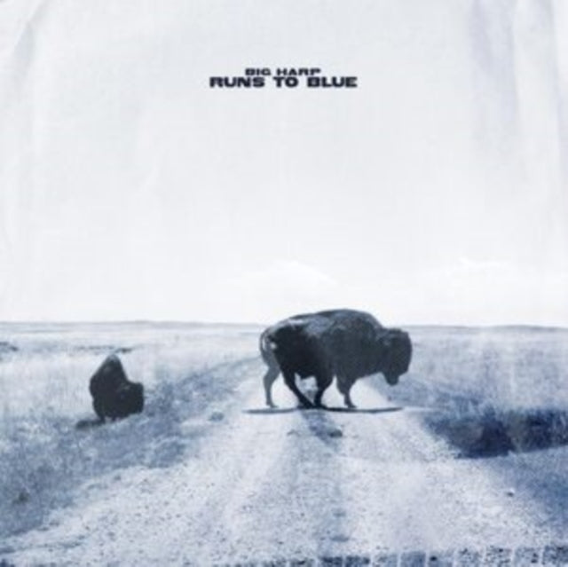 Big Harp - Runs To Blue (Opaque Blue Vinyl) (Vinyl) (US Import)
