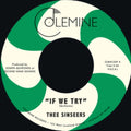 Thee Sinseers - If We Try / Give It Up You Fool (Vinyl Single) (US Import)