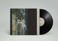 Dead Can Dance - Within The Realm Of A Dying Sun (Vinyl) (US Import)
