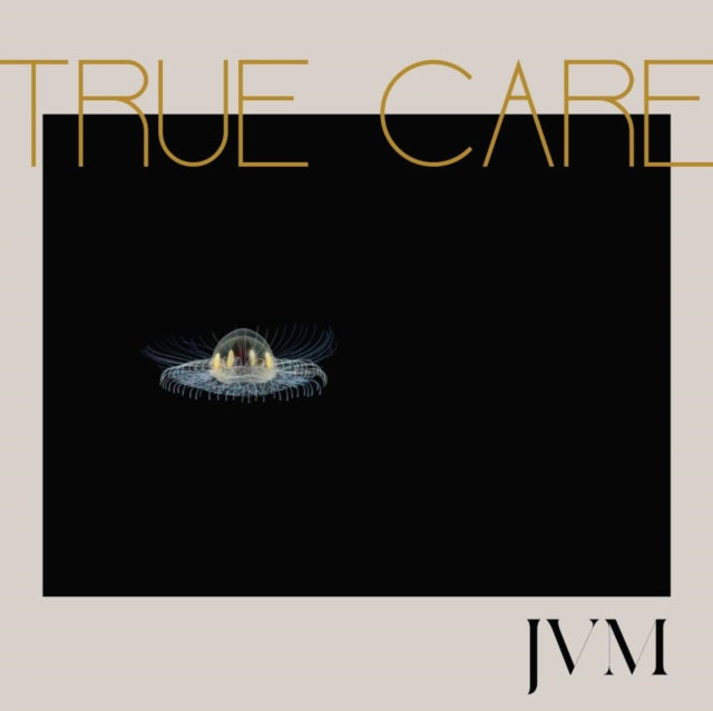 James Vincent Mcmorrow - True Care (2LP) (Vinyl) (US Import)