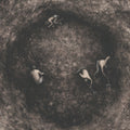 Pure Wrath - Bleak Days Ahead (CD) (US Import)