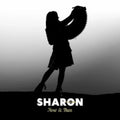 Sharon Shannon - Now & Then: A Retrospective (15LP) (Vinyl) (US Import)