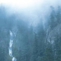 Wolves In The Throne Room - Diadem Of 12 Stars (Vinyl) (US Import)