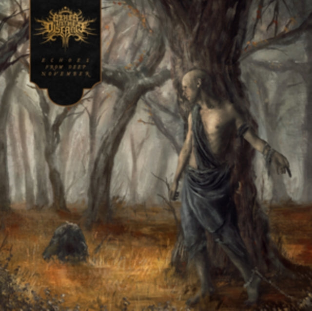 Fires In The Distance - Echoes From Deep November (Vinyl) (US Import)