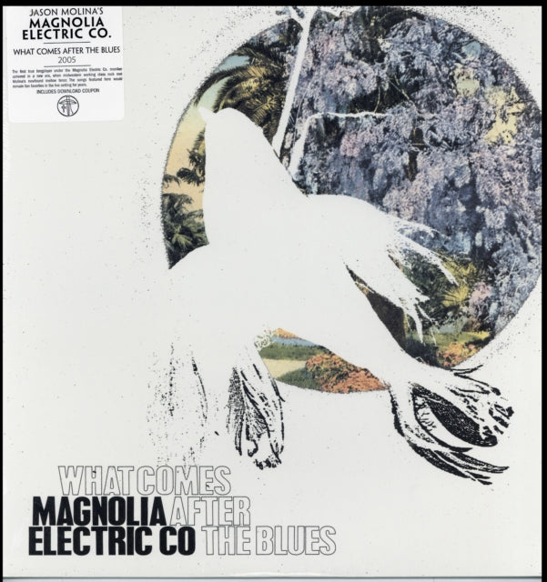 Magnolia Electric Co - What Comes After The Blues (Vinyl) (US Import)