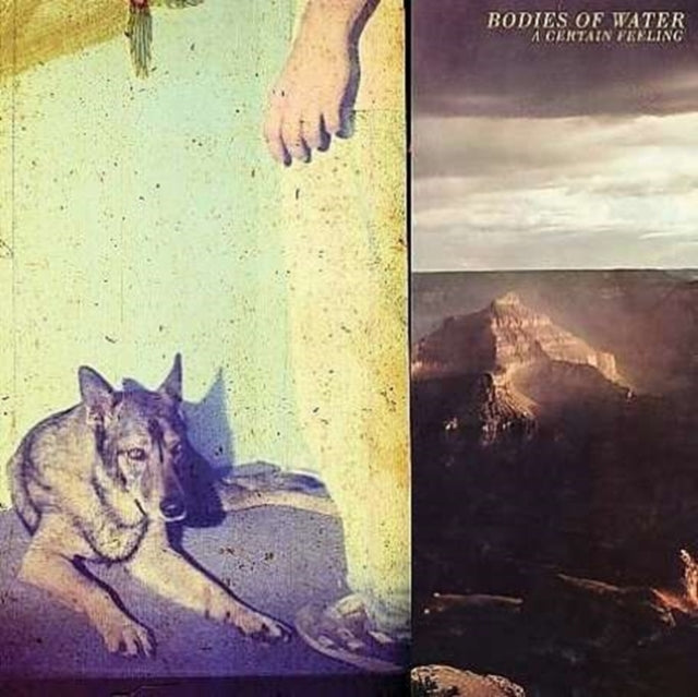 Bodies Of Water - Certain Feeling (Vinyl) (US Import)