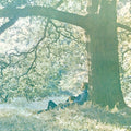 Yoko Ono - Plastic Ono Band (Vinyl) (US Import)
