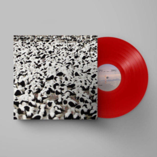 Stella Donnelly - Flood (Opaque Red Vinyl) (Vinyl) (US Import)