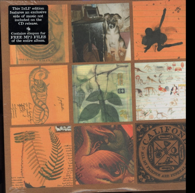 Califone - All My Friends Are Funeral Singers (Vinyl) (US Import)
