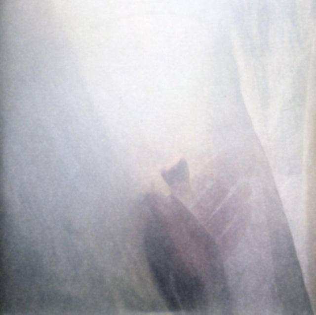 Sun Airway - Wild Palms / Symphony In White No 2 (Vinyl Single) (US Import)