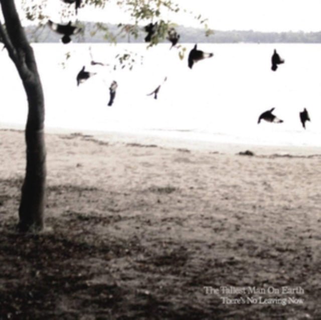 Tallest Man On Earth - There's No Leaving Now (Vinyl) (US Import)