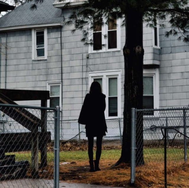 Tallest Man On Earth - Dark Bird Is Home (CD)