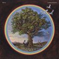 Bill Fay - Countless Branches (Vinyl) (US Import)