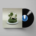 Fenne Lily - Big Picture (Vinyl) (US Import)