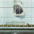 Black Mountain - Wilderness Heart (Vinyl) (US Import)