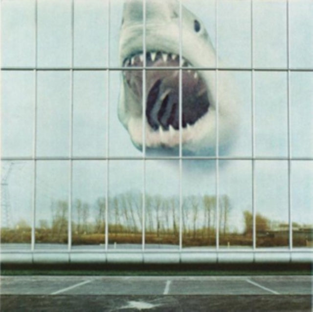 Black Mountain - Wilderness Heart (Vinyl) (US Import)