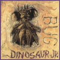 Dinosaur JR - Bug (Vinyl) (US Import)