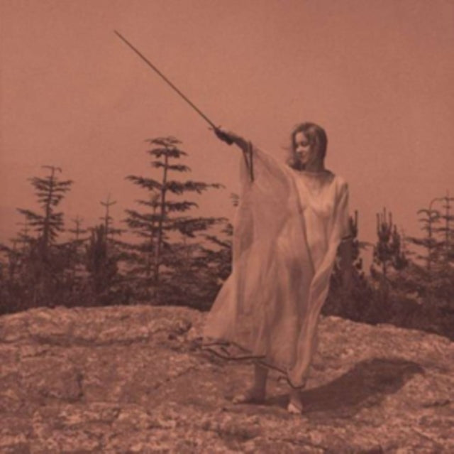 Unknown Mortal Orchestra - II (Vinyl) (US Import)