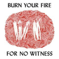 Angel Olsen - Burn Your Fire For No Witness (CD)