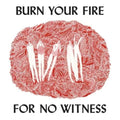 Angel Olsen - Burn Your Fire For No Witness (Deluxe Edition) (CD)