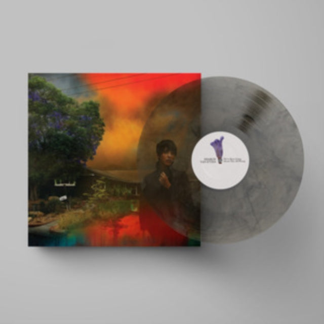 Van Etten,Sharon - We've Been Going About This All Wrong (Marbled Smoke Vinyl) (Vinyl) (US Import)