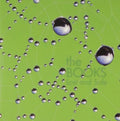 Books - Lost & Safe (CD) (US Import)