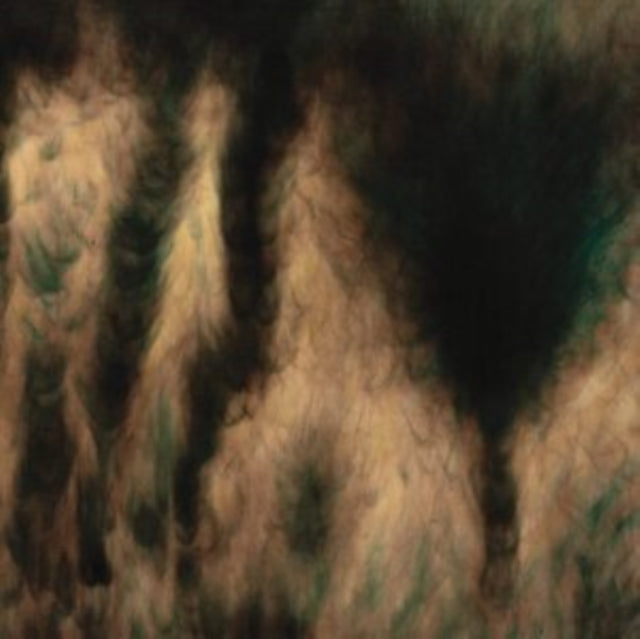 William Basinski - Lamentations (2LP) (Vinyl) (US Import)