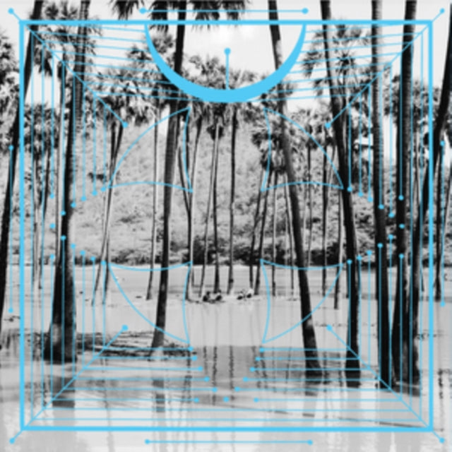 Four Tet - Pink (Vinyl) (US Import)