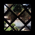Psychic Temple - III (Vinyl) (US Import)
