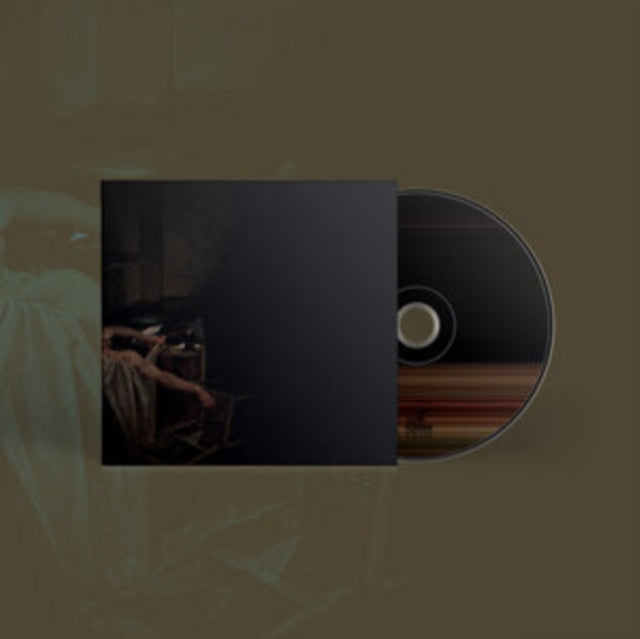 Have A Nice Life - Voids (CD)