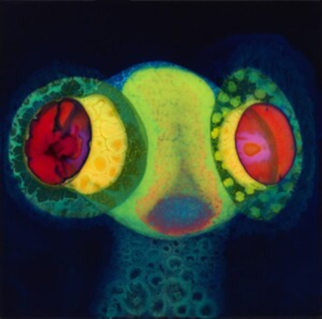 Osees - Sorcs 80 (Vinyl) (US Import)