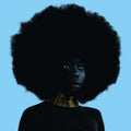 Sudan Archives - Sink (DL Code) (Vinyl) (US Import)