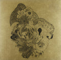 Dimlite - Prismic Tops (Vinyl) (US Import)