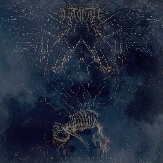 Intonate - Severed Within (Random Mixed Color Vinyl) (Vinyl) (US Import)