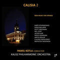 Krzysztof Niegowski; Kalisz Philharmonic Orchestra - Calisia 2: New Music For Strings (CD)