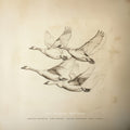 Near The Pond - Wild Geese (CD)