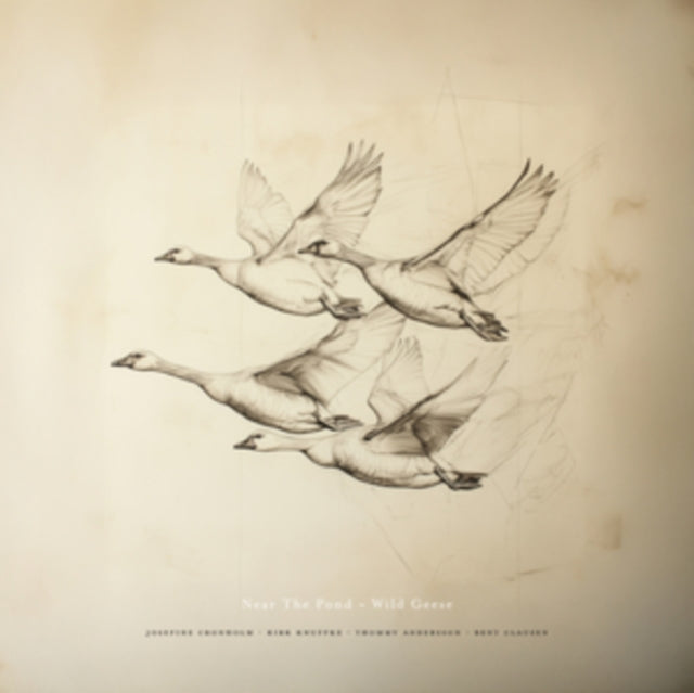 Near The Pond - Wild Geese (CD)