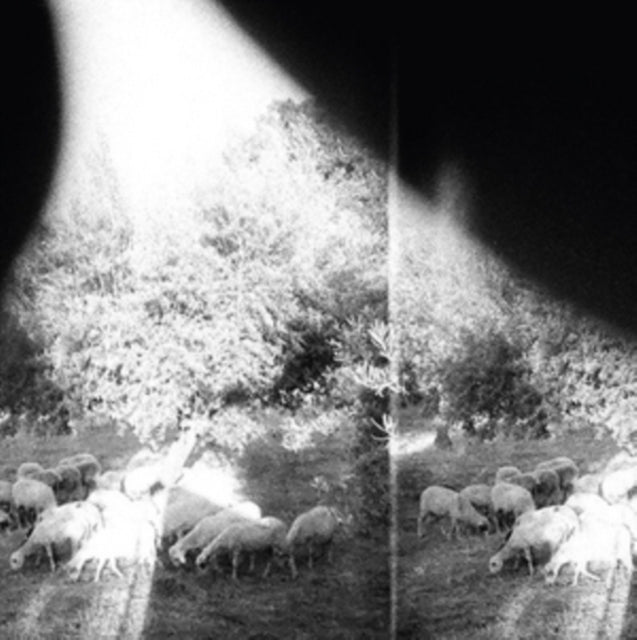Godspeed You Black Emperor - Asunder Sweet & Other Distress (CD)