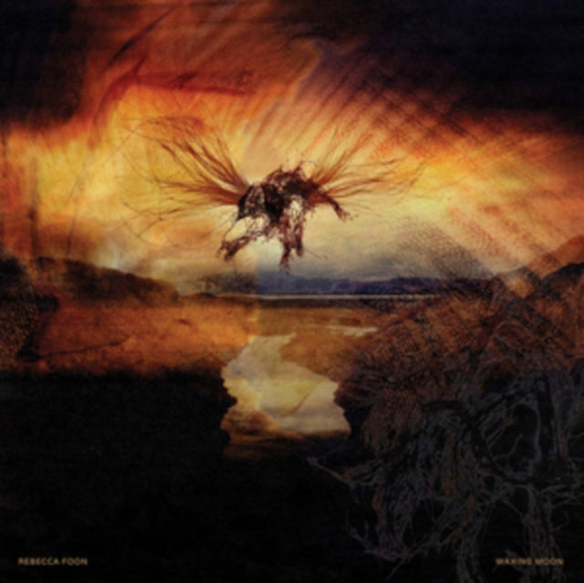 Rebecca Foon - Waxing Moon (Vinyl) (US Import)