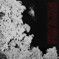 Church Girls - Still Blooms (CD)