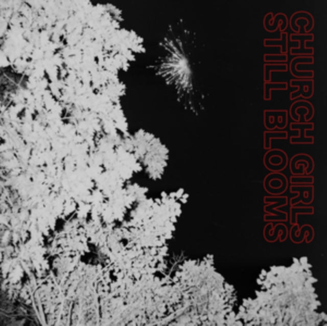 Church Girls - Still Blooms (CD)