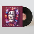 David Kilgour - Feather In The Engine (Vinyl) (US Import)