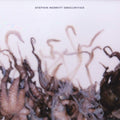 Stephin Merritt - Obscurities (Vinyl) (US Import)