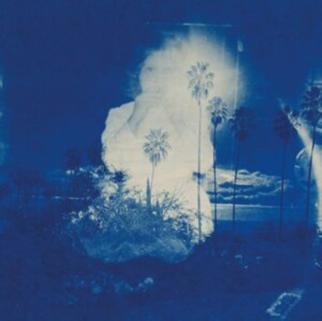 Fruit Bats - River Running To Your Heart (Vinyl) (US Import)