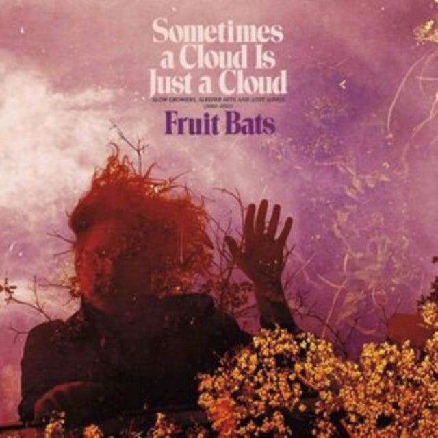 Fruit Bats - Sometimes A Cloud Is Just A Cloud: Slow Growers (2LP) (Vinyl) (US Import)