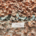 Cable Ties - All Her Plans (CD)