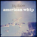 Joy Zipper - American Whip (Vinyl) (US Import)
