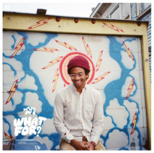 Toro Y Moi - What For (Vinyl) (US Import)