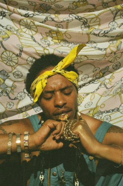 Pink Siifu - Ensley (2LP) (Vinyl) (US Import)